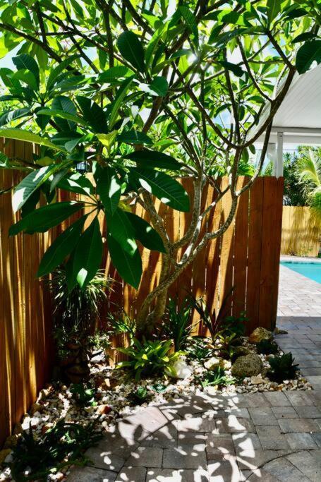 Tropical Retreat Near Beaches, Cruise Terminals Merritt Island Dış mekan fotoğraf